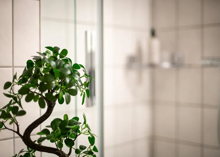 Apartment Federnest: Luxury With King Bed & Office